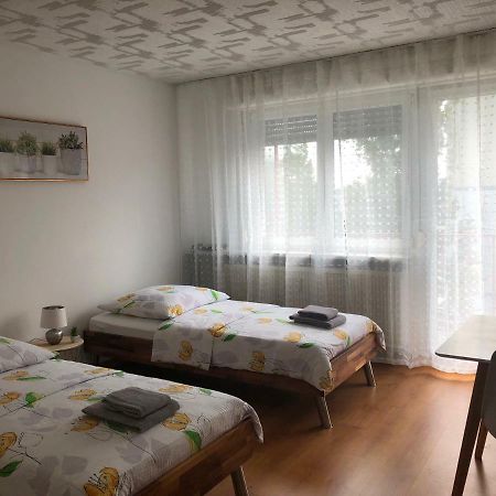 Studios Near Basel Airport Сен-Луї Екстер'єр фото