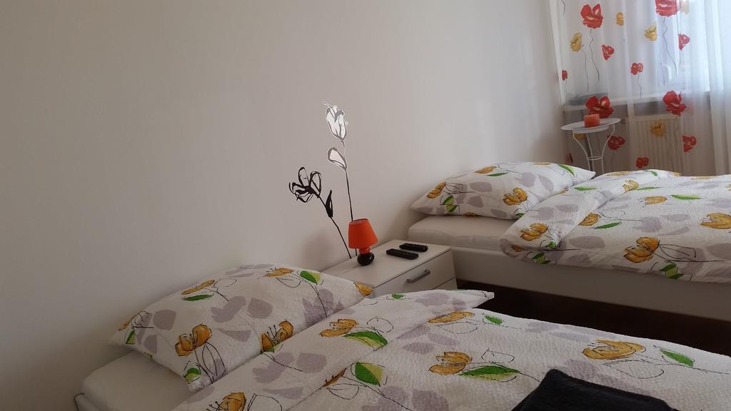 Studios Near Basel Airport Сен-Луї Номер фото