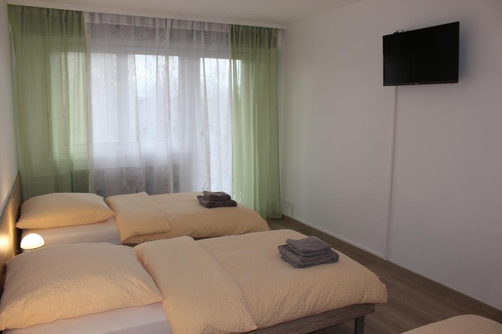 Studios Near Basel Airport Сен-Луї Номер фото