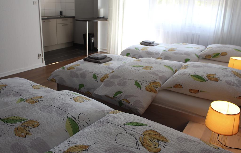 Studios Near Basel Airport Сен-Луї Екстер'єр фото