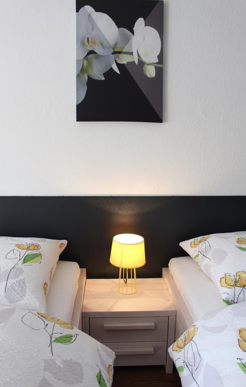 Studios Near Basel Airport Сен-Луї Екстер'єр фото
