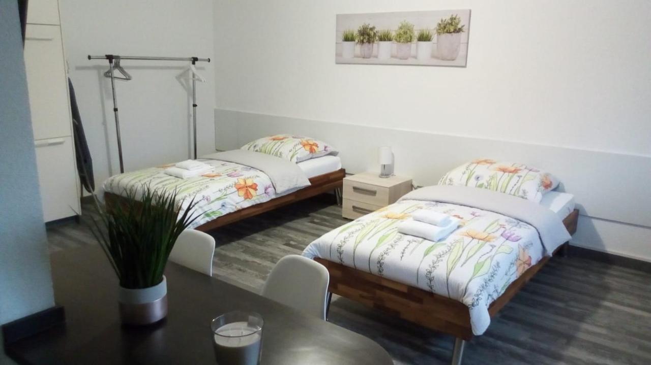Studios Near Basel Airport Сен-Луї Екстер'єр фото