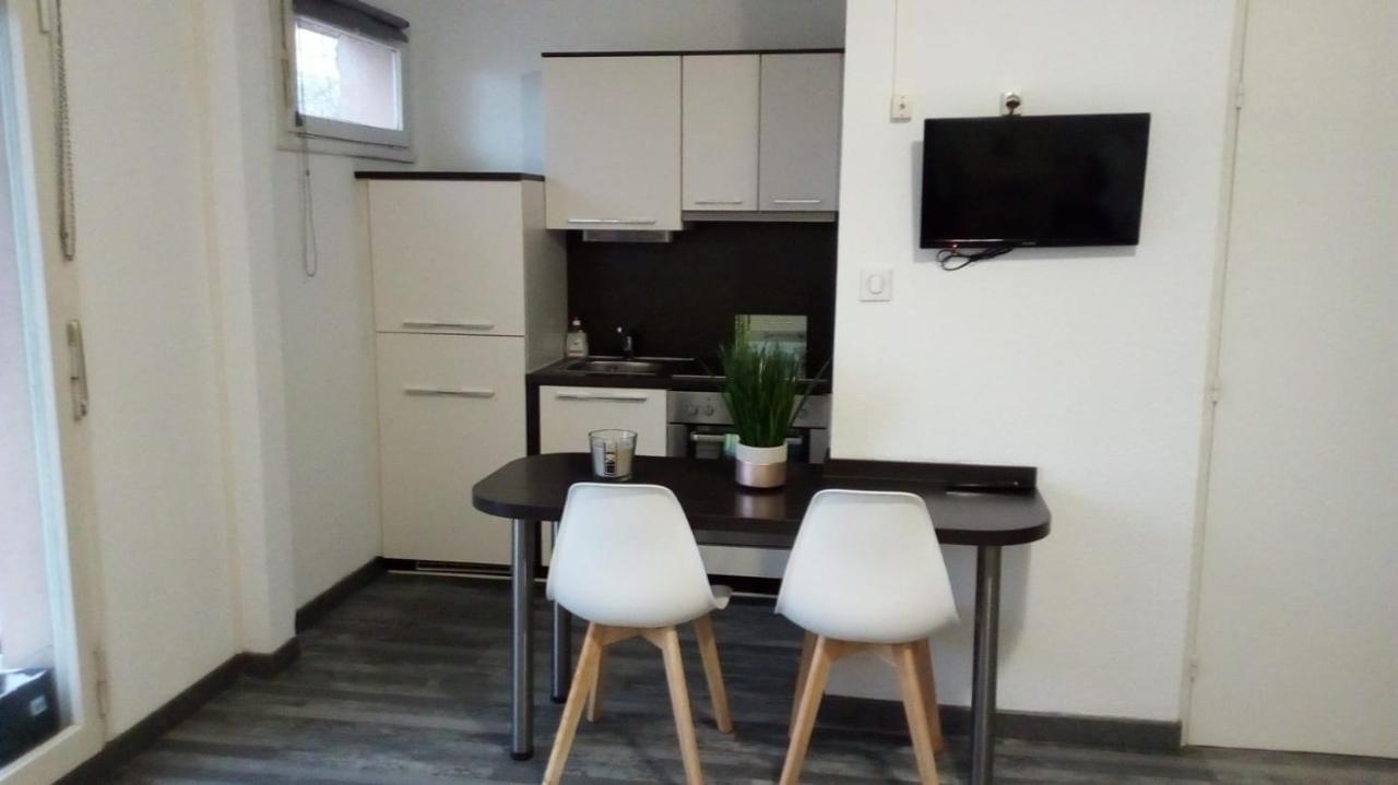 Studios Near Basel Airport Сен-Луї Екстер'єр фото