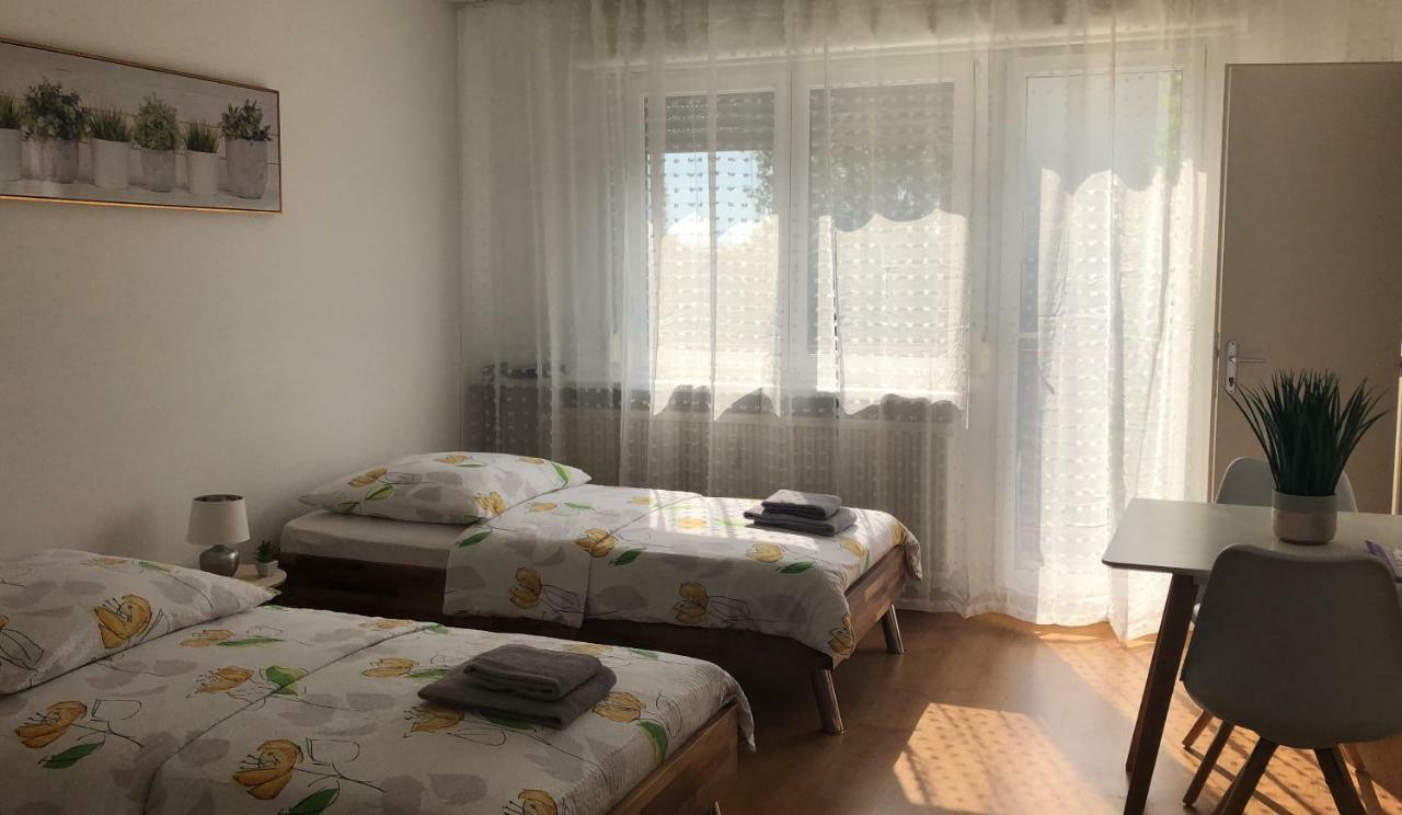 Studios Near Basel Airport Сен-Луї Екстер'єр фото