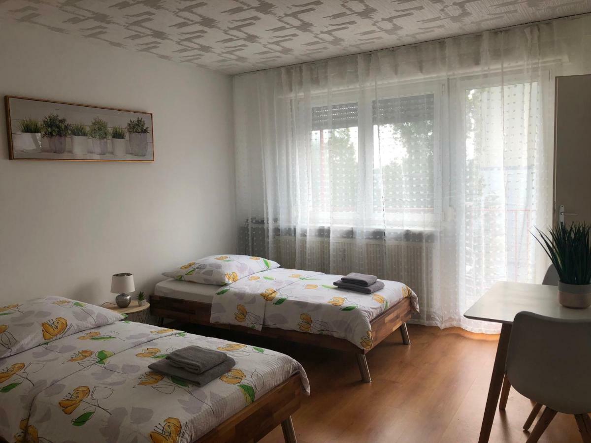Studios Near Basel Airport Сен-Луї Екстер'єр фото